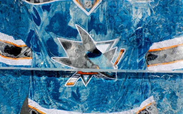 Sports San Jose Sharks Hockey HD Wallpaper | Background Image
