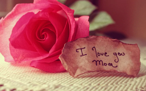 A close-up of a pink rose beside a handwritten note that reads I love you Mom, capturing the essence of love and celebration for Mother's Day in a warm, heartfelt scene.