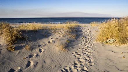 footprint nature beach HD Desktop Wallpaper | Background Image