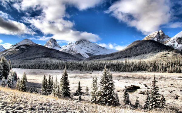Snow-covered forest and mountains under a cloudy blue sky, showcasing a serene winter landscape in Alberta.