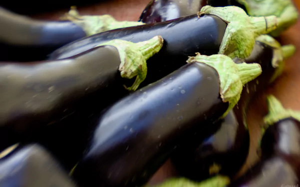 food eggplant HD Desktop Wallpaper | Background Image
