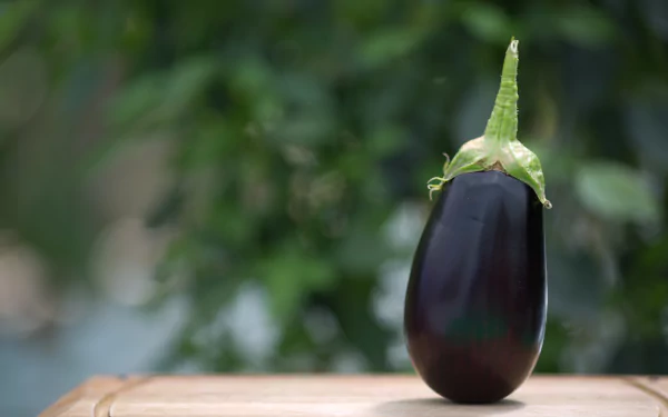 food eggplant HD Desktop Wallpaper | Background Image