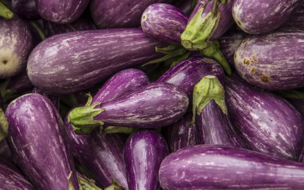 food eggplant HD Desktop Wallpaper | Background Image