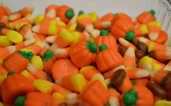 food Candy Corn HD Desktop Wallpaper | Background Image