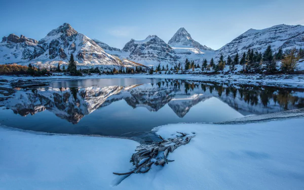Snowy mountain peaks and frosted trees reflect clearly on a calm winter lake, creating a serene HD landscape wallpaper of nature's beauty.
