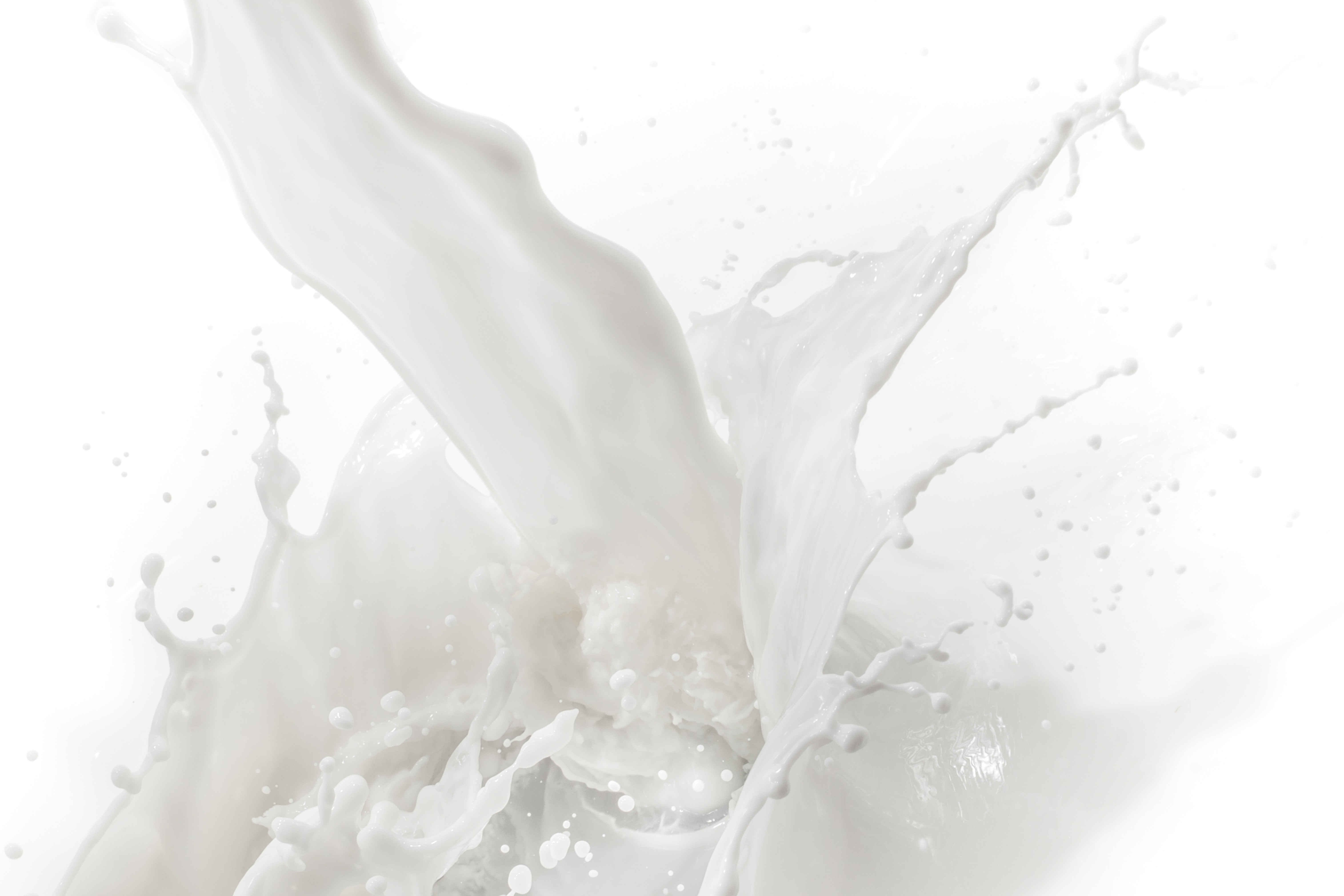20+ Milk HD Wallpapers and Backgrounds