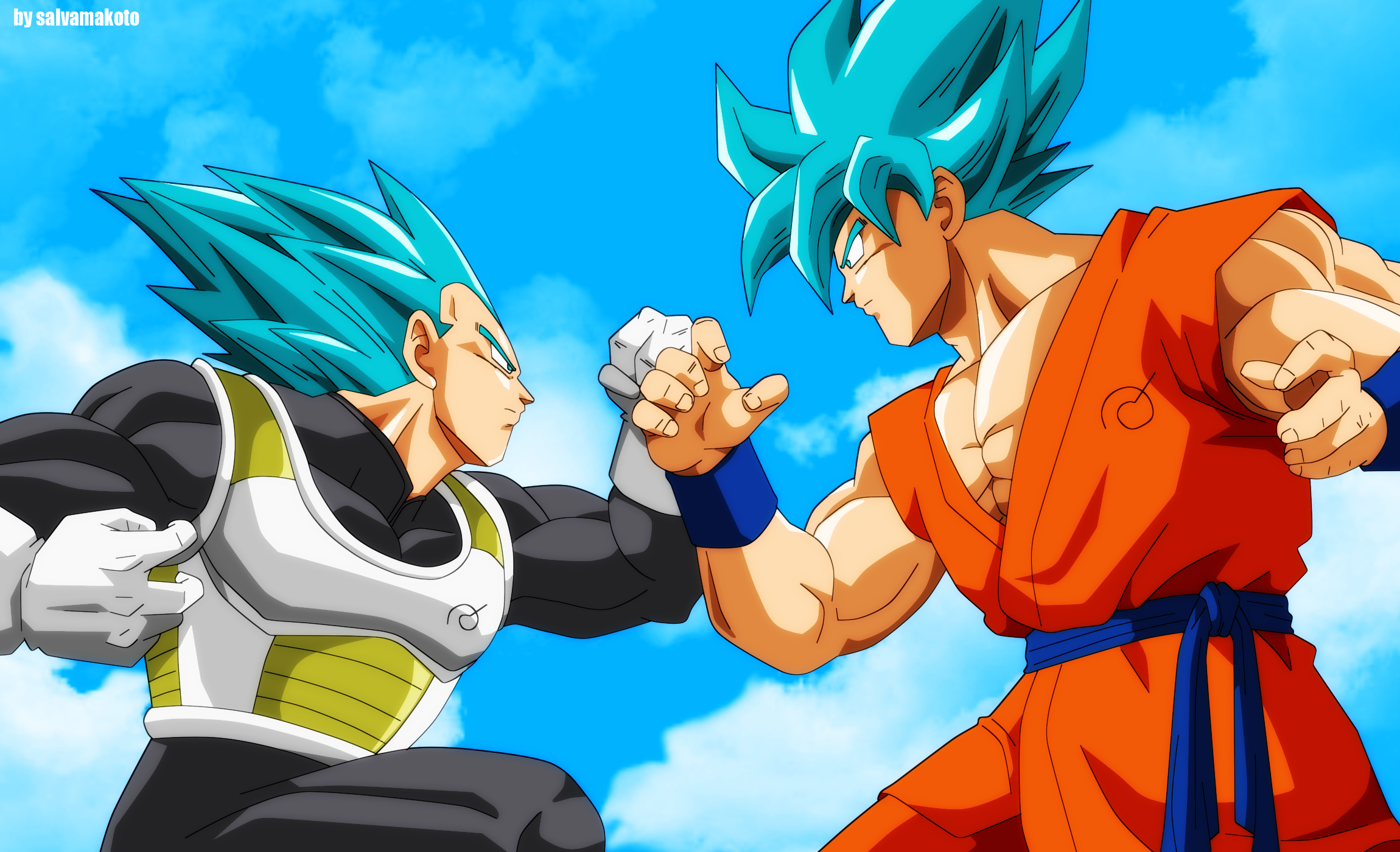 Super Saiyan Blue Goku Vs Vegeta HD Wallpaper By Salvador Vera