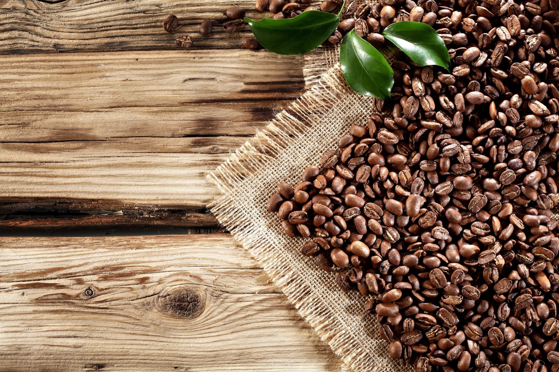 Download Coffee Beans Food Coffee  4k Ultra HD Wallpaper