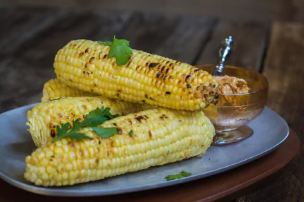 food corn HD Desktop Wallpaper | Background Image