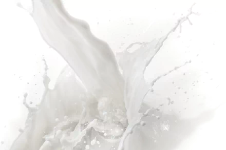 HD desktop wallpaper showing a dynamic and detailed splash of milk, capturing the essence of food and freshness.