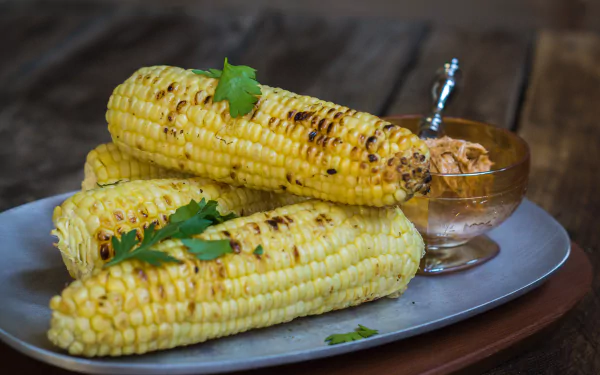 5K Ultra HD PC desktop wallpaper and background of grilled corn on the cob garnished with herbs on a plate — food, corn.