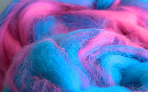  Blue and Pink Cotton Candy Close-Up