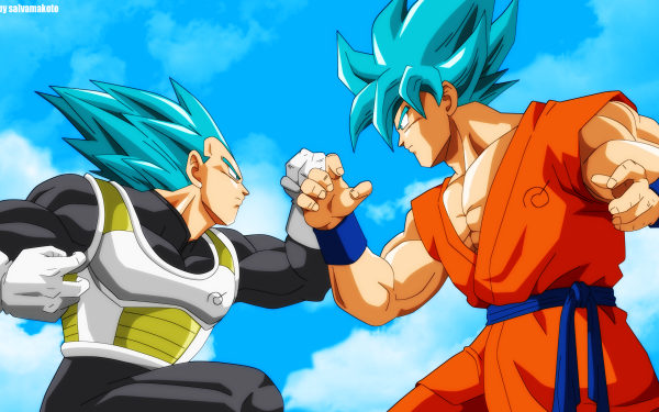 Anime Dragon Ball Super Dragon Ball Vegeta Goku Super Saiyan Blue HD Wallpaper | Background Image