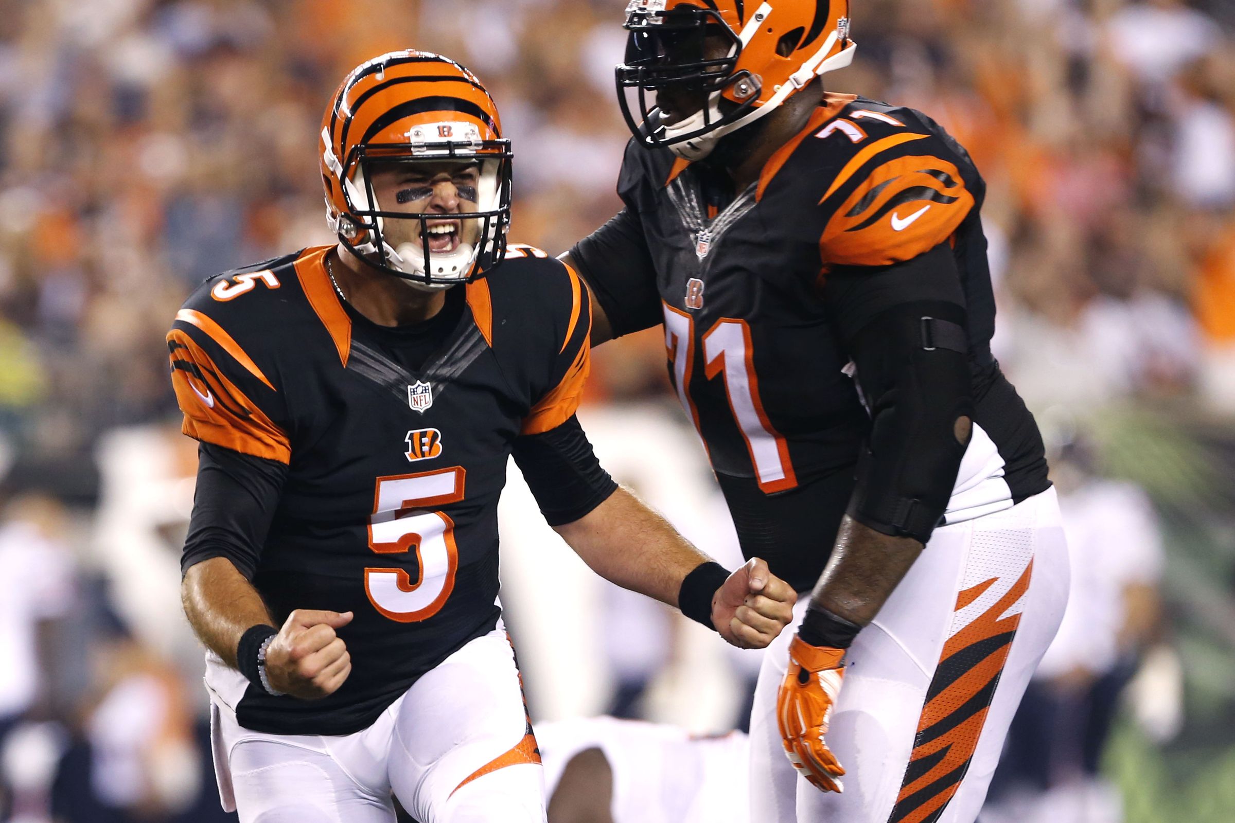 Sports Cincinnati Bengals 4k Ultra HD Wallpaper