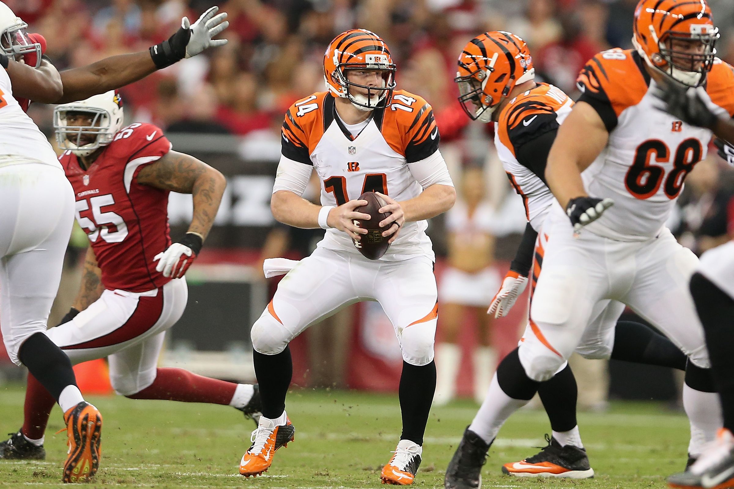 142,128 Cincinnati Bengals Football Stock Photos, High-Res