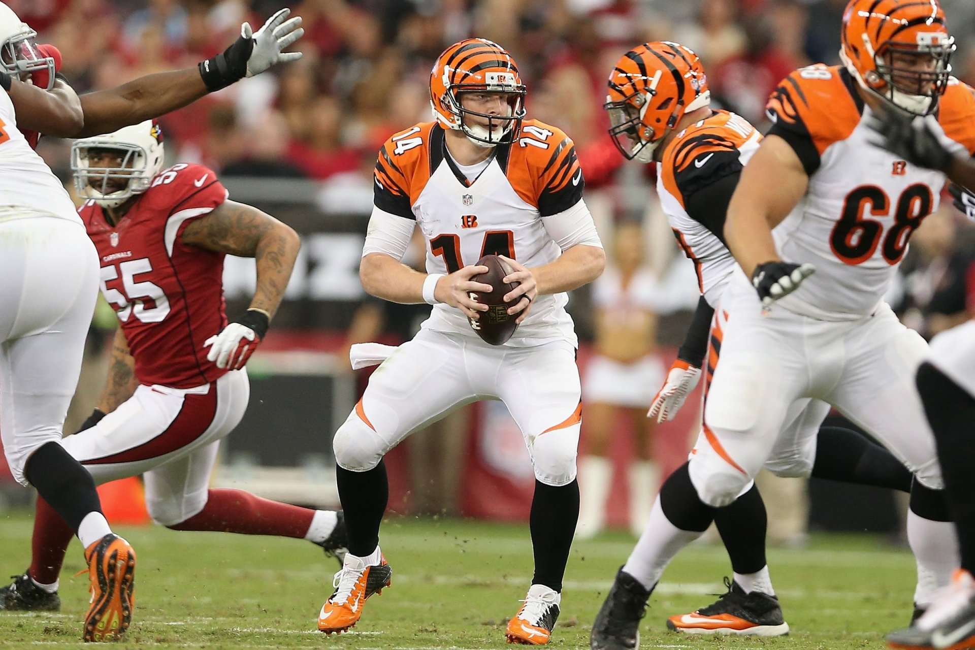 Download Cincinnati Bengals Sports HD Wallpaper