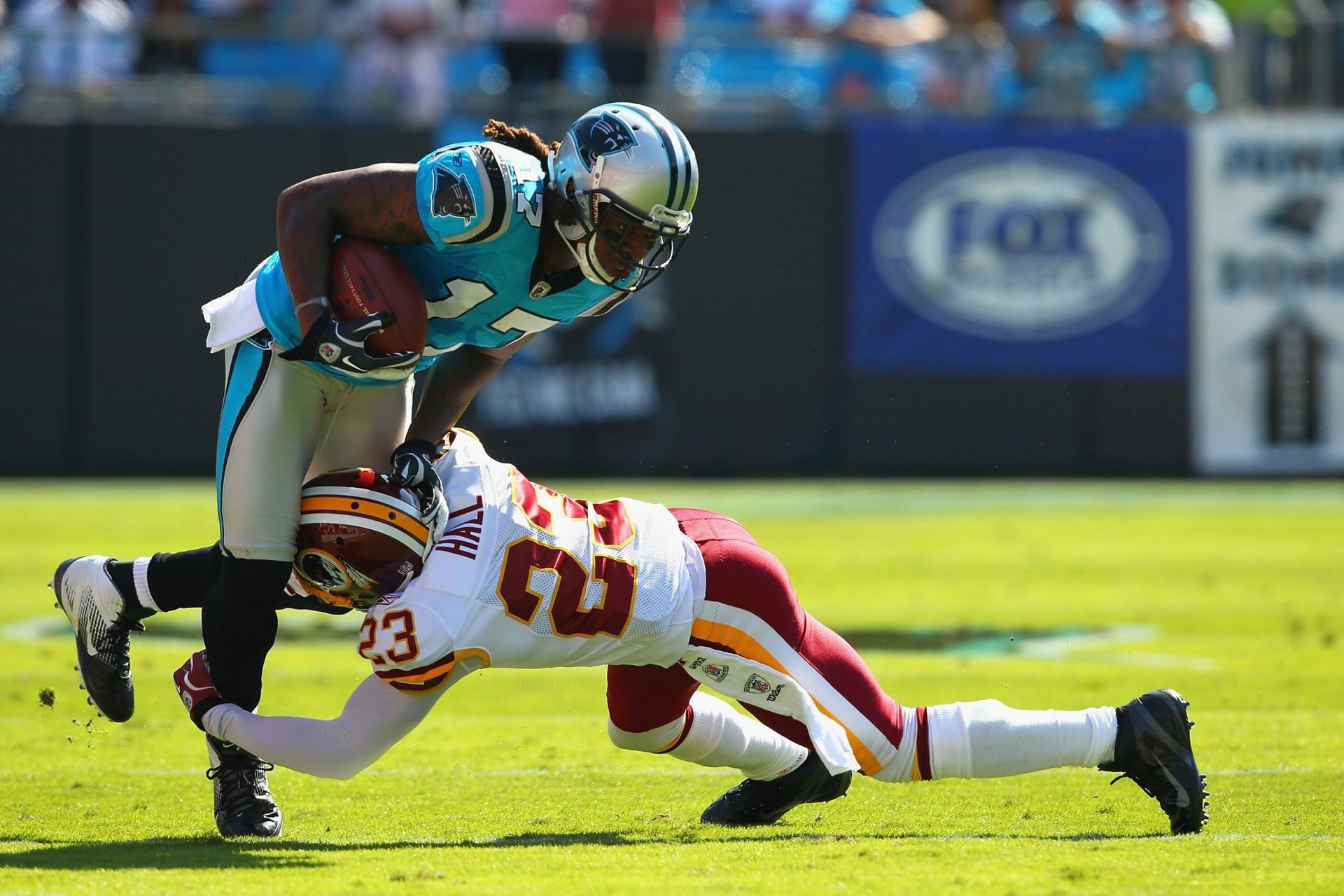 Download Carolina Panthers Sports HD Wallpaper