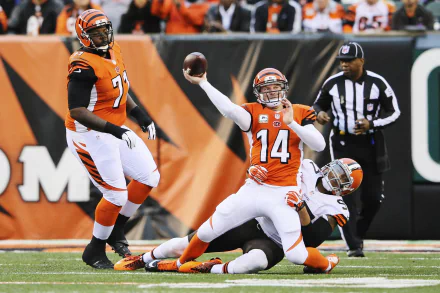 Cincinnati Bengals Sports HD Desktop Wallpaper | Background Image