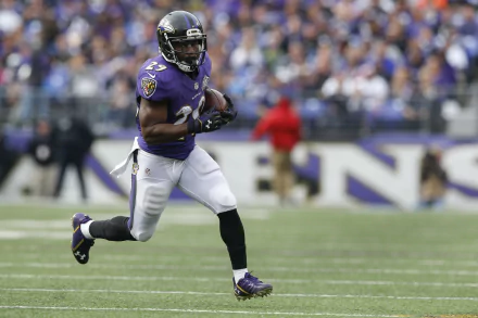 Baltimore Ravens Sports HD Desktop Wallpaper | Background Image