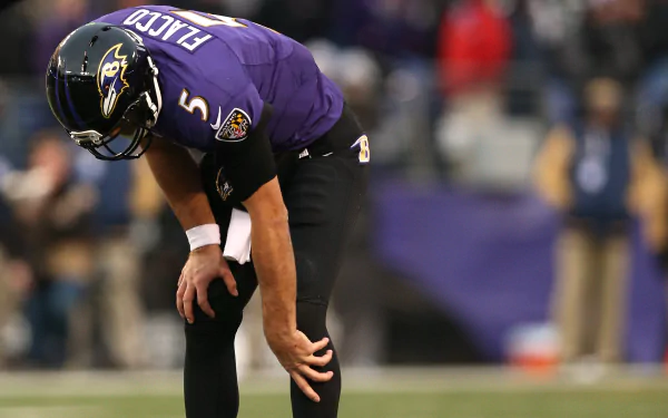 Baltimore Ravens Sports HD Desktop Wallpaper | Background Image