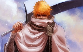 Ichigo Kurosaki vs. Sōsuke Aizen, Bleach Wiki