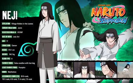 HD wallpaper featuring Neji Hyūga from the anime Naruto. Includes various images of Neji in action, character stats, and Naruto Shippuden logo. Background is green and blue with vibrant effects.