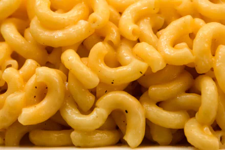 Macaroni and cheese food pasta HD Desktop Wallpaper | Background Image