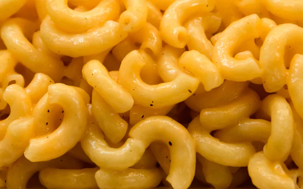 Macaroni and cheese food pasta HD Desktop Wallpaper | Background Image