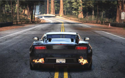 Rear view of a black supercar blazing down a forest highway with exhaust flames — Need For Speed: Hot Pursuit video game HD PC desktop wallpaper and background.
