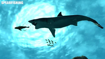 shark video game Spearfishing HD Desktop Wallpaper | Background Image