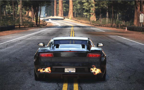 Rear view of a black supercar blazing down a forest highway with exhaust flames — Need For Speed: Hot Pursuit video game HD PC desktop wallpaper and background.
