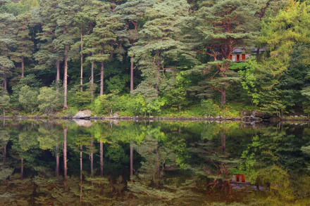 cabin tree water lake photography reflection HD Desktop Wallpaper | Background Image