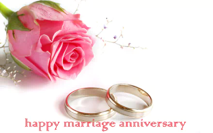 wedding rose ring holiday anniversary HD Desktop Wallpaper | Background Image