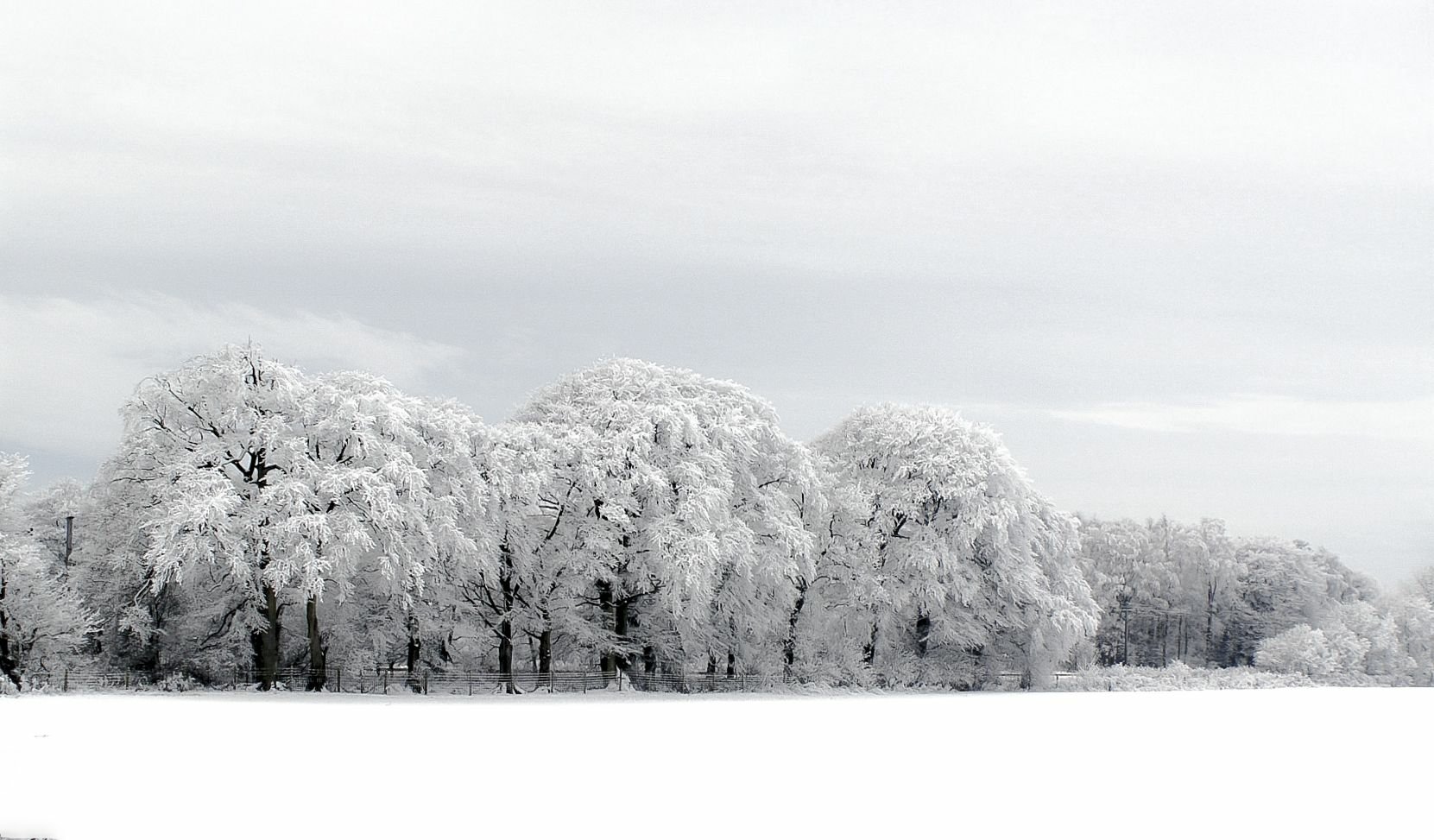 Winter Wallpaper and Background Image | 1661x973 | ID:670653