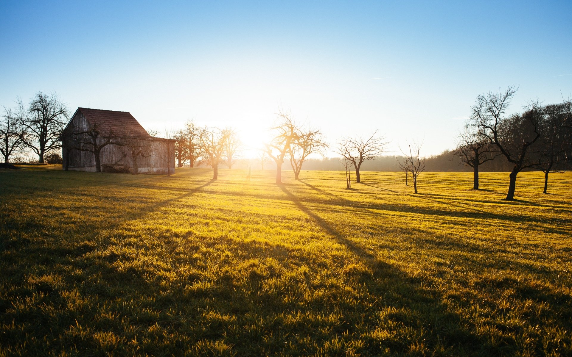 HD desktop wallpaper featuring a sunlit farm with a man-made barn and scattered trees casting long shadows across a grassy field.