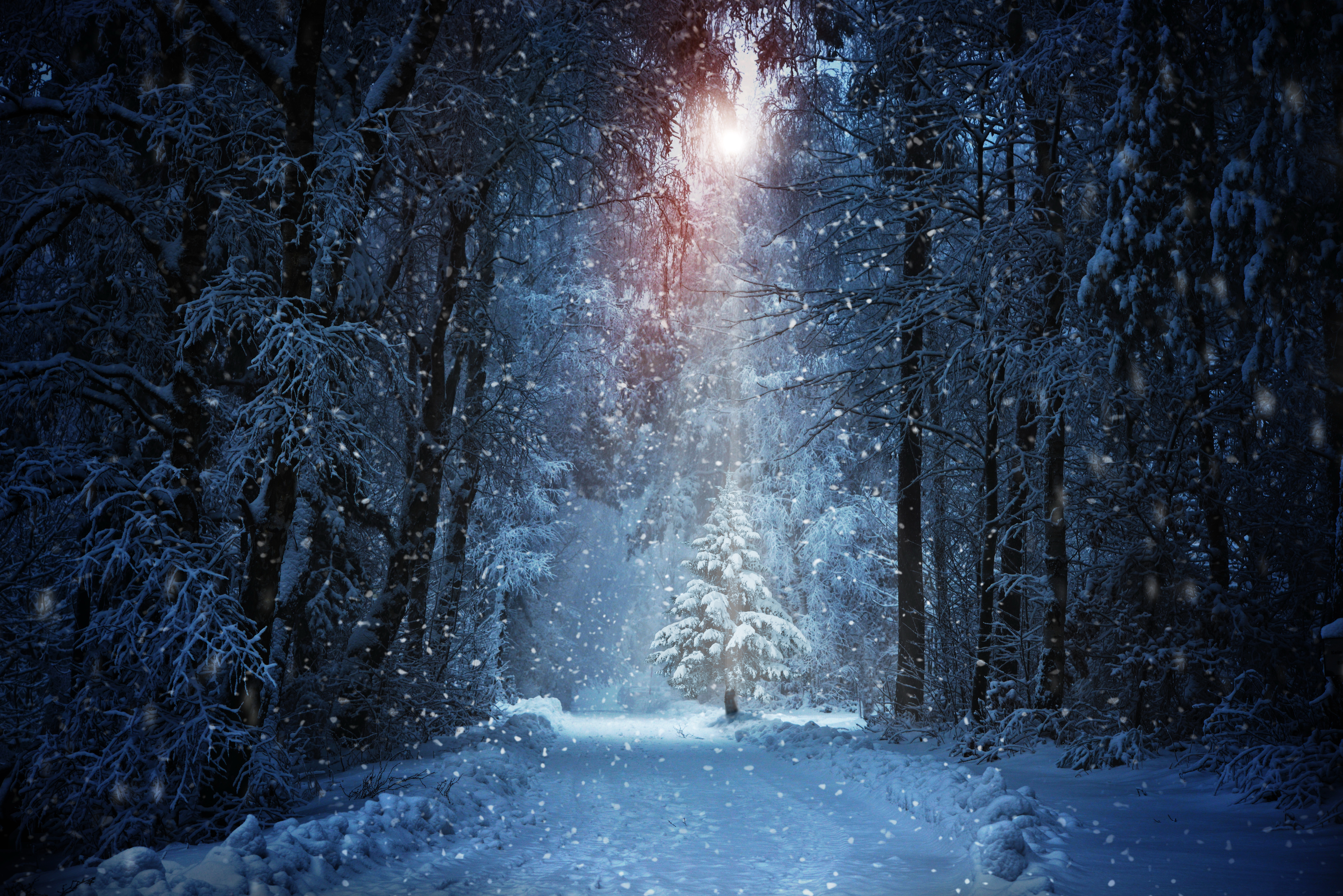 2900+ Winter HD Wallpapers and Backgrounds