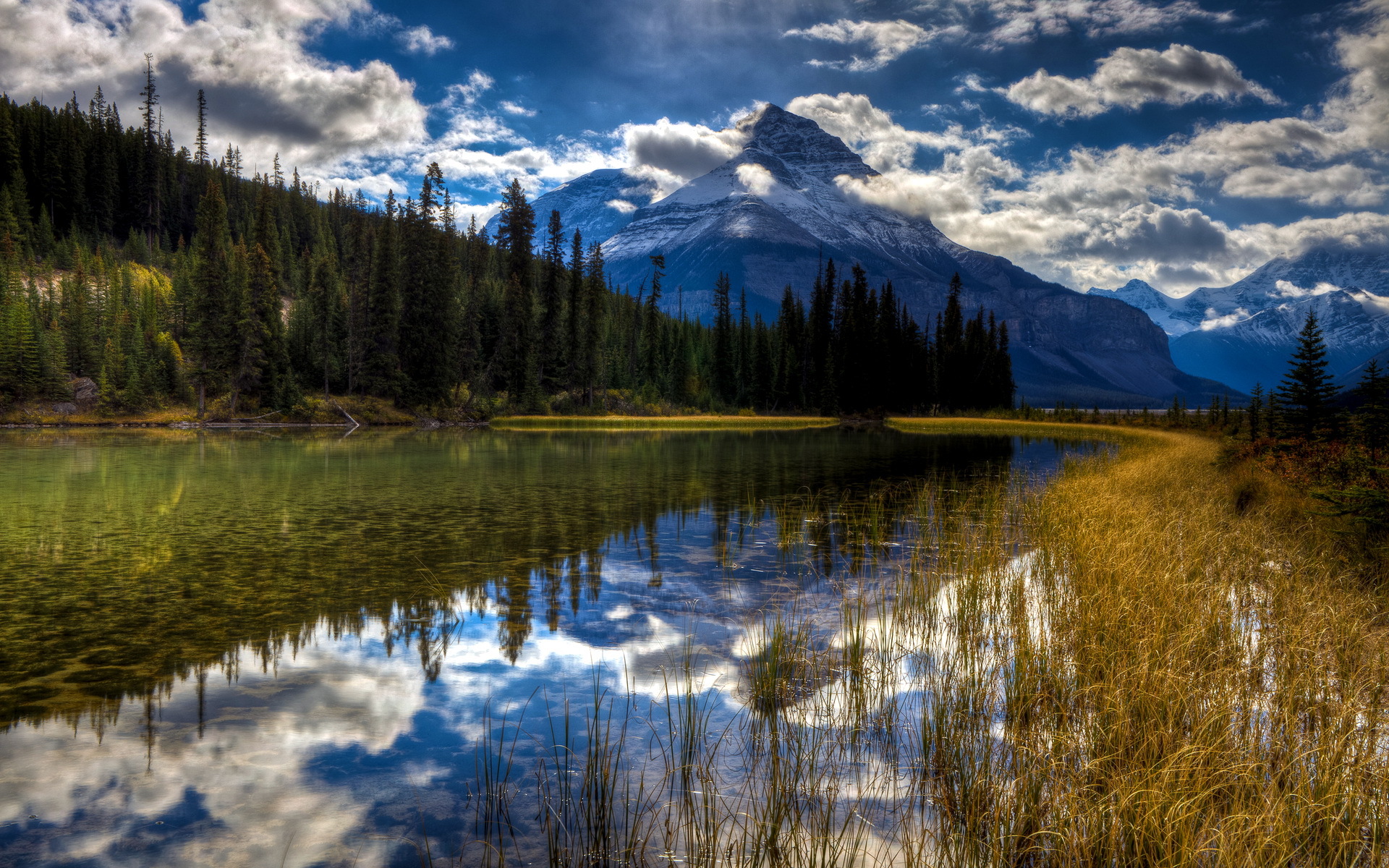 Download HDR Cloud Forest Reflection Nature Landscape Mountain Lake HD ...