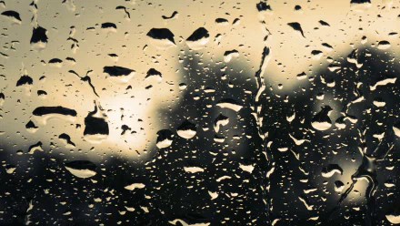 photography raindrops HD Desktop Wallpaper | Background Image