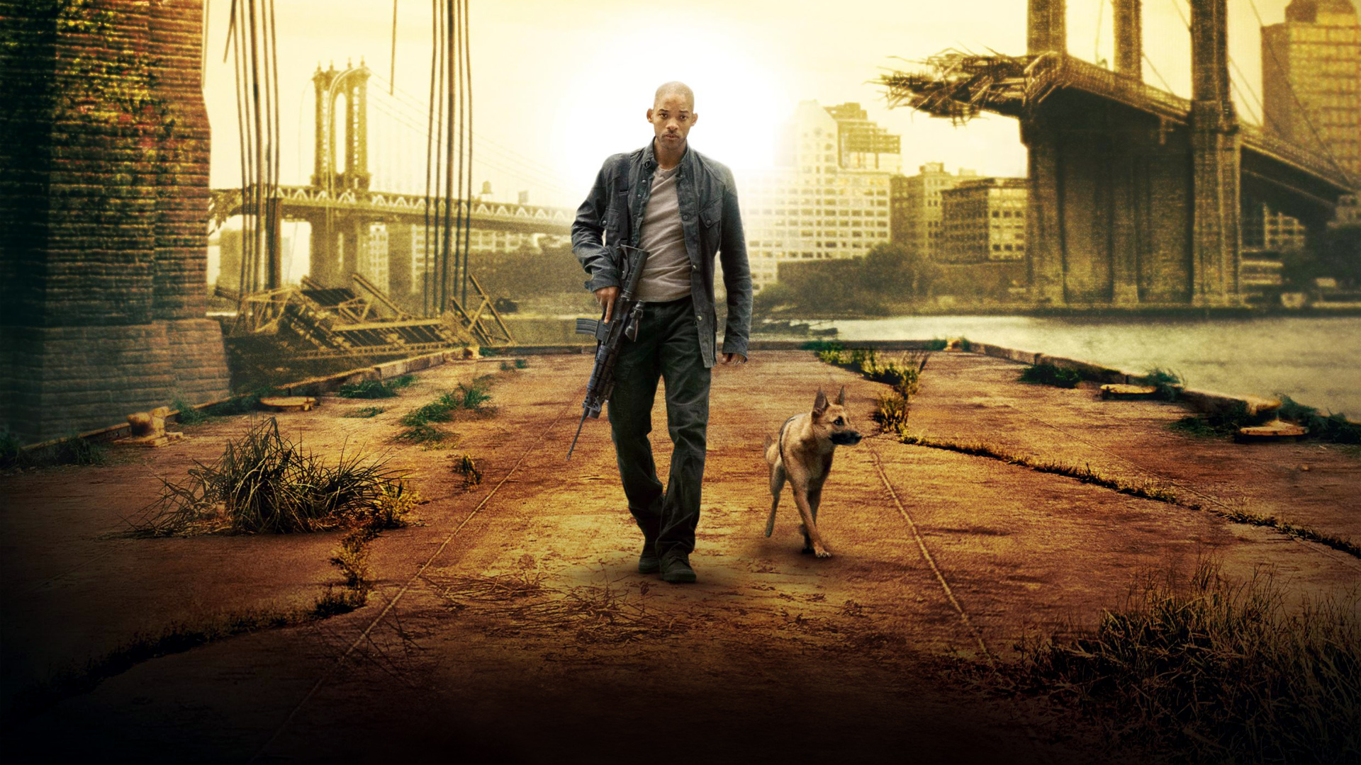 10+ I Am Legend HD Wallpapers and Backgrounds