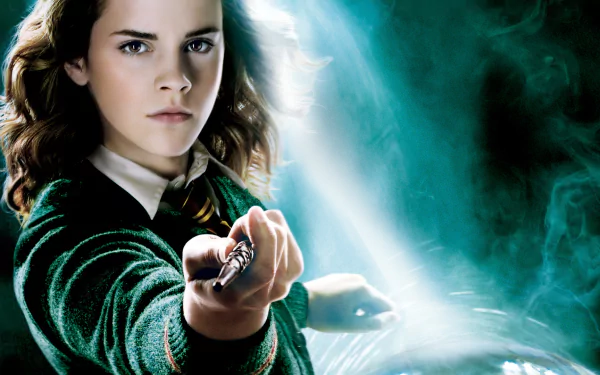 A striking HD desktop wallpaper from Harry Potter and the Order of the Phoenix, featuring a determined character brandishing a wand against a mystical backdrop.