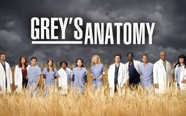 HD desktop wallpaper of the TV show Grey's Anatomy, depicting the main characters standing in a field with a stormy sky backdrop.