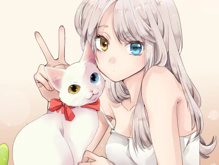 Anime girl with long white hair and heterochromia poses with a white cat, also with heterochromia and a red bow, making a peace sign. HD desktop wallpaper.