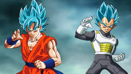 Two powerful characters from Dragon Ball Super, featuring Goku in his signature orange gi and Vegeta in a sleek, futuristic outfit, showcased in vibrant HD for a striking desktop wallpaper.
