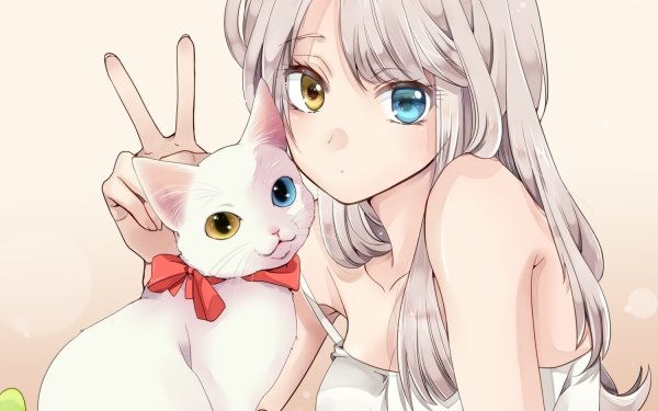 Anime Girl Long Hair White Hair Heterochromia Cat HD Wallpaper | Background Image