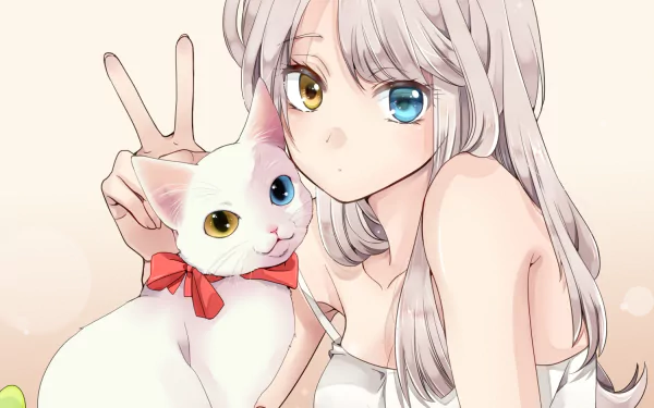 Anime girl with long white hair and heterochromia poses with a white cat, also with heterochromia and a red bow, making a peace sign. HD desktop wallpaper.