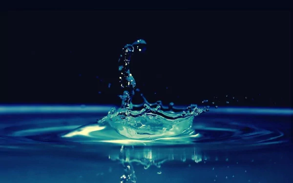 nature water drop HD Desktop Wallpaper | Background Image