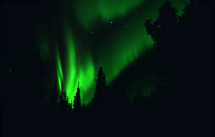 HD desktop wallpaper showcasing vibrant green aurora borealis lighting up the night sky over Alaska's natural landscape with silhouetted trees.