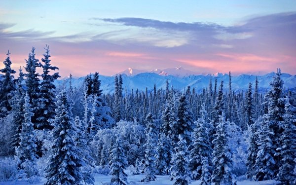 Earth Winter Nature Snow Forest Landscape Mountain HD Wallpaper | Background Image