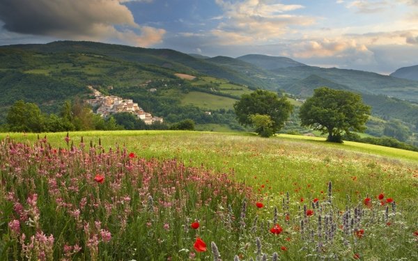 Photography Landscape Earth Nature Mountain Village Tree Spring Flower Field HD Wallpaper | Background Image