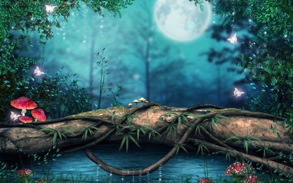 Fantasy Forest Mystic Mushroom Log Moon Butterfly HD Wallpaper | Background Image